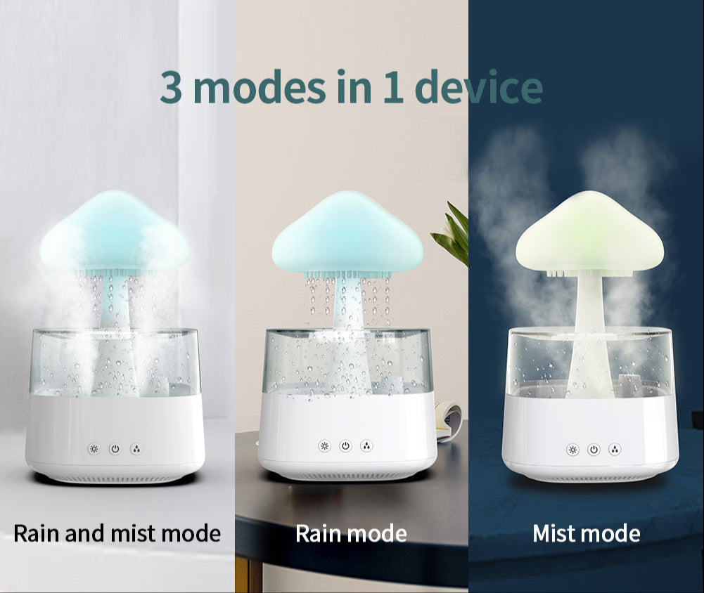 2-in-1 Rain Cloud Desk Humidifier