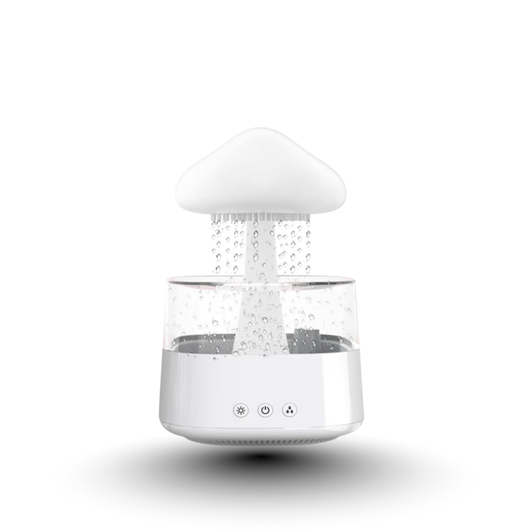 2-in-1 Rain Cloud Desk Humidifier